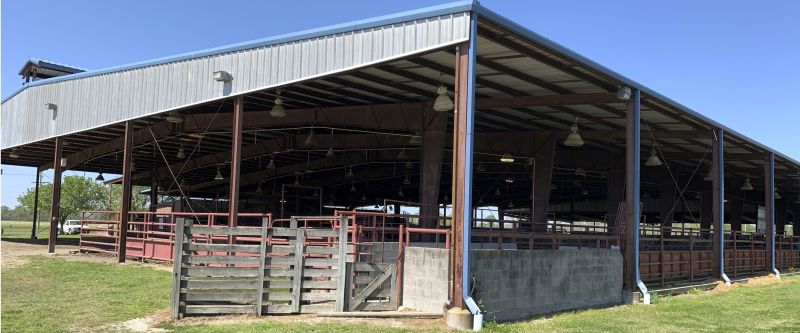 Horse Shelter Construction in Conroe, TX