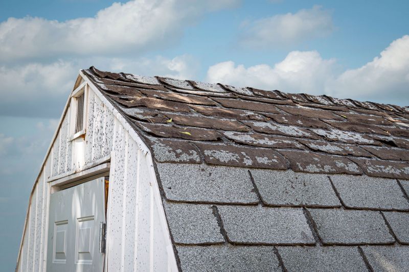 Roof Repair Options For Sheds, Barns, And Gazebos